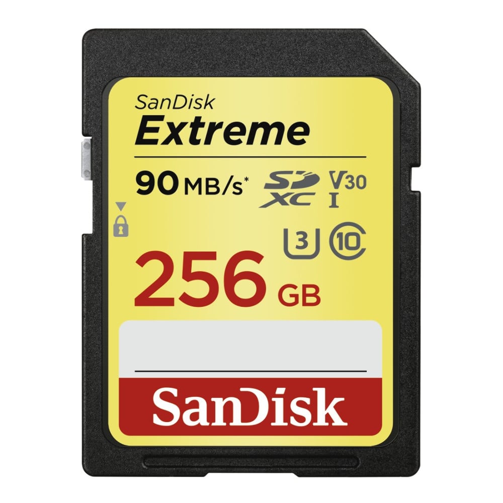 SDXC Extreme 256GB, Video Speed Class V30 (173358) Speicherkarte