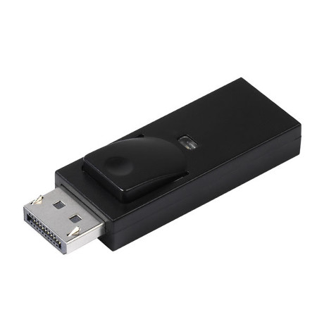 DisplayPort <-> HDMI Adapter (45295)