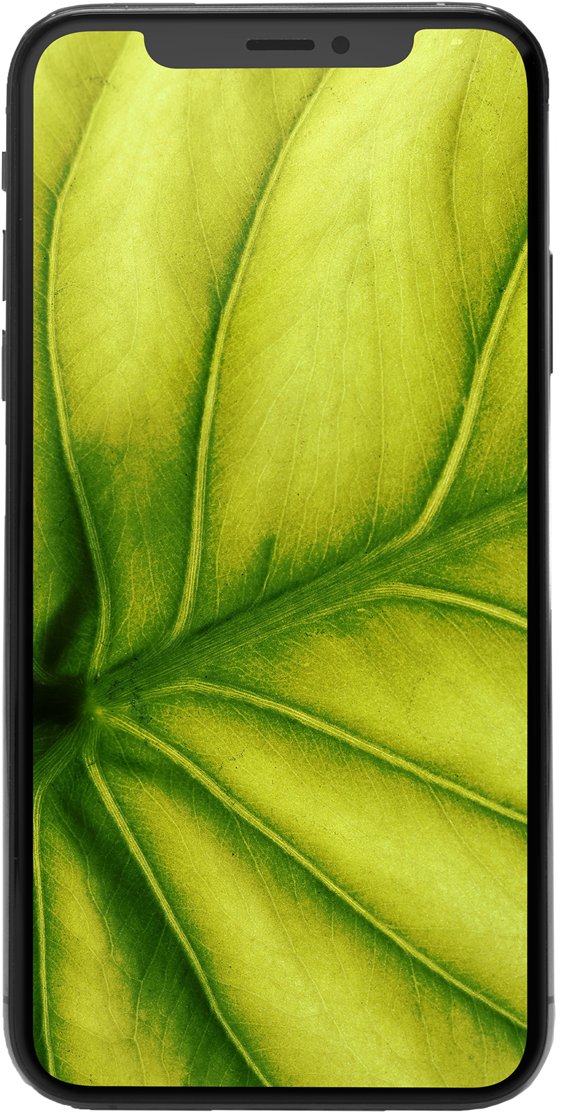 iPhone X 64GB Spacegrau Premium Refurbished