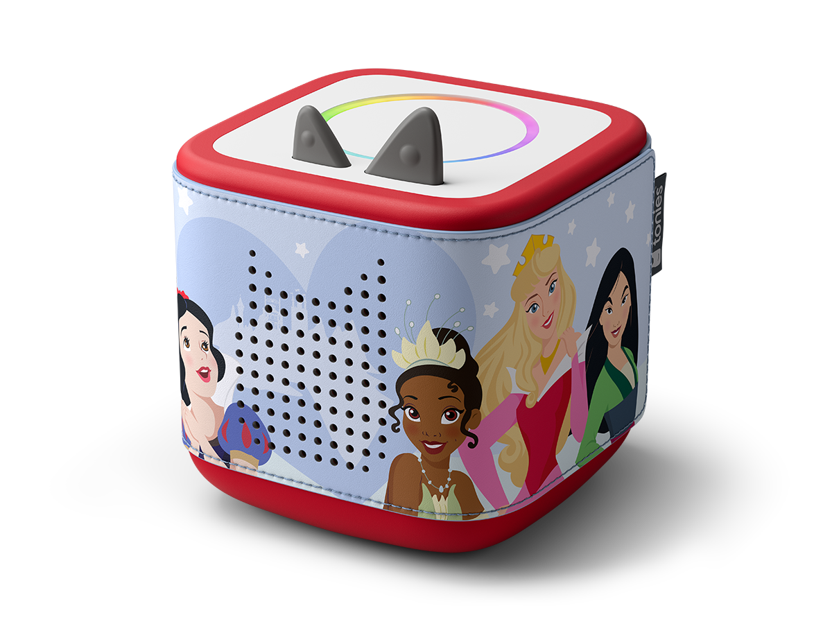 Hülle Disney Prinzessinnen