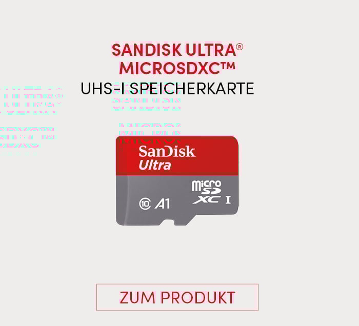 SanDisk_MSS9