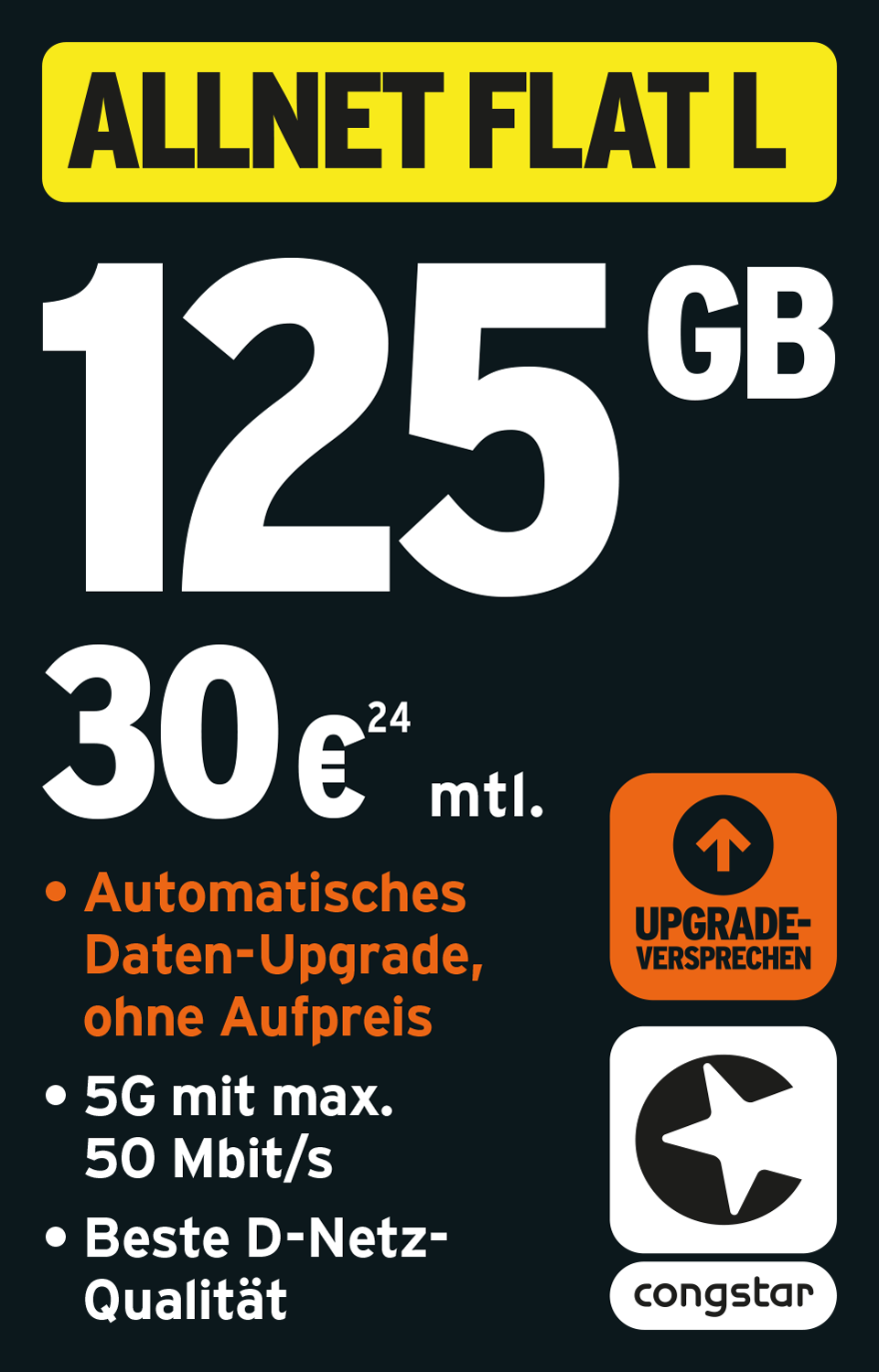 ALLNET FLAT L