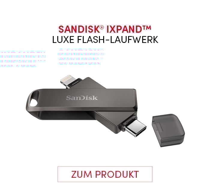 SanDisk_MSS4