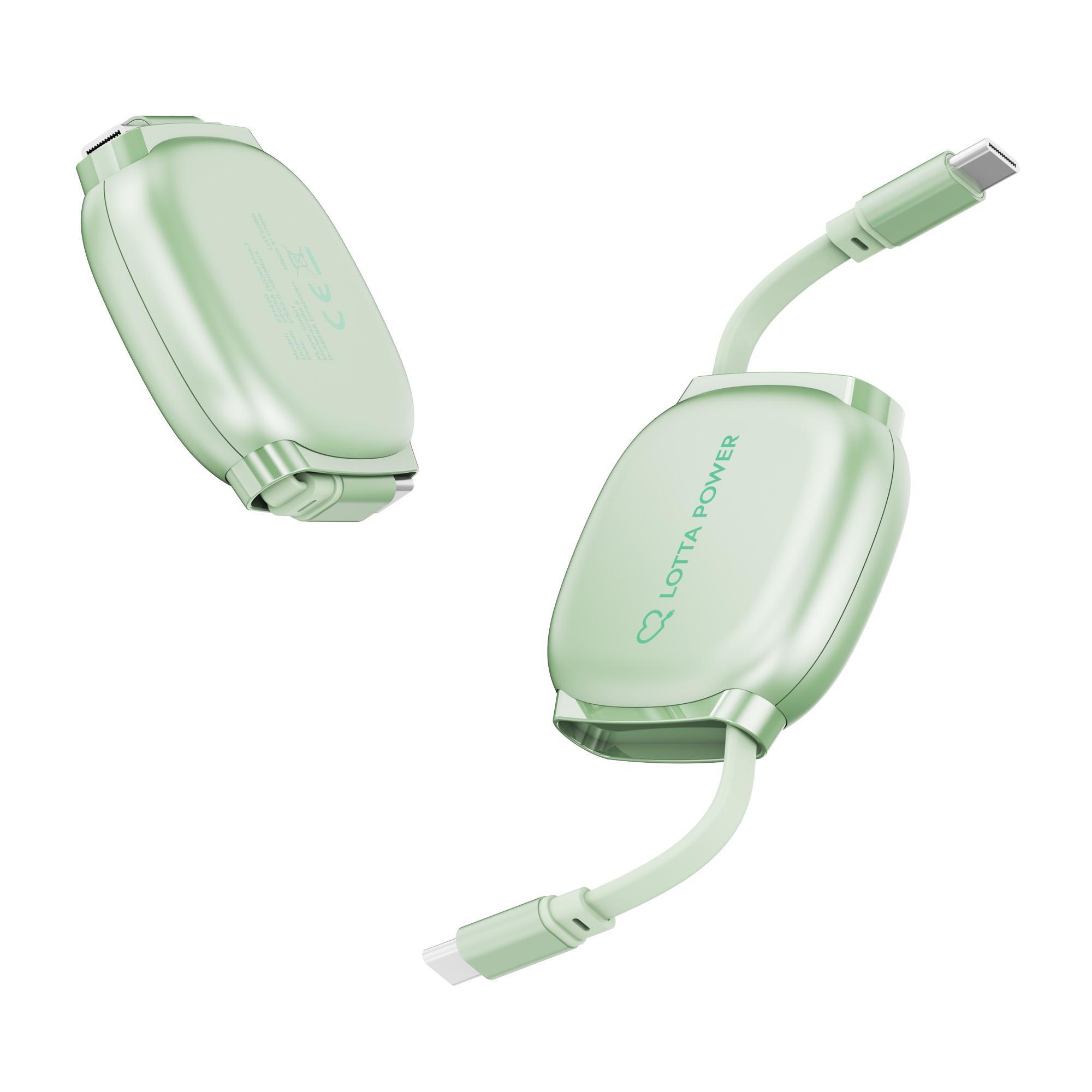 ausziehbares Ladekabel USB Typ C auf USB Typ C 100W Mint