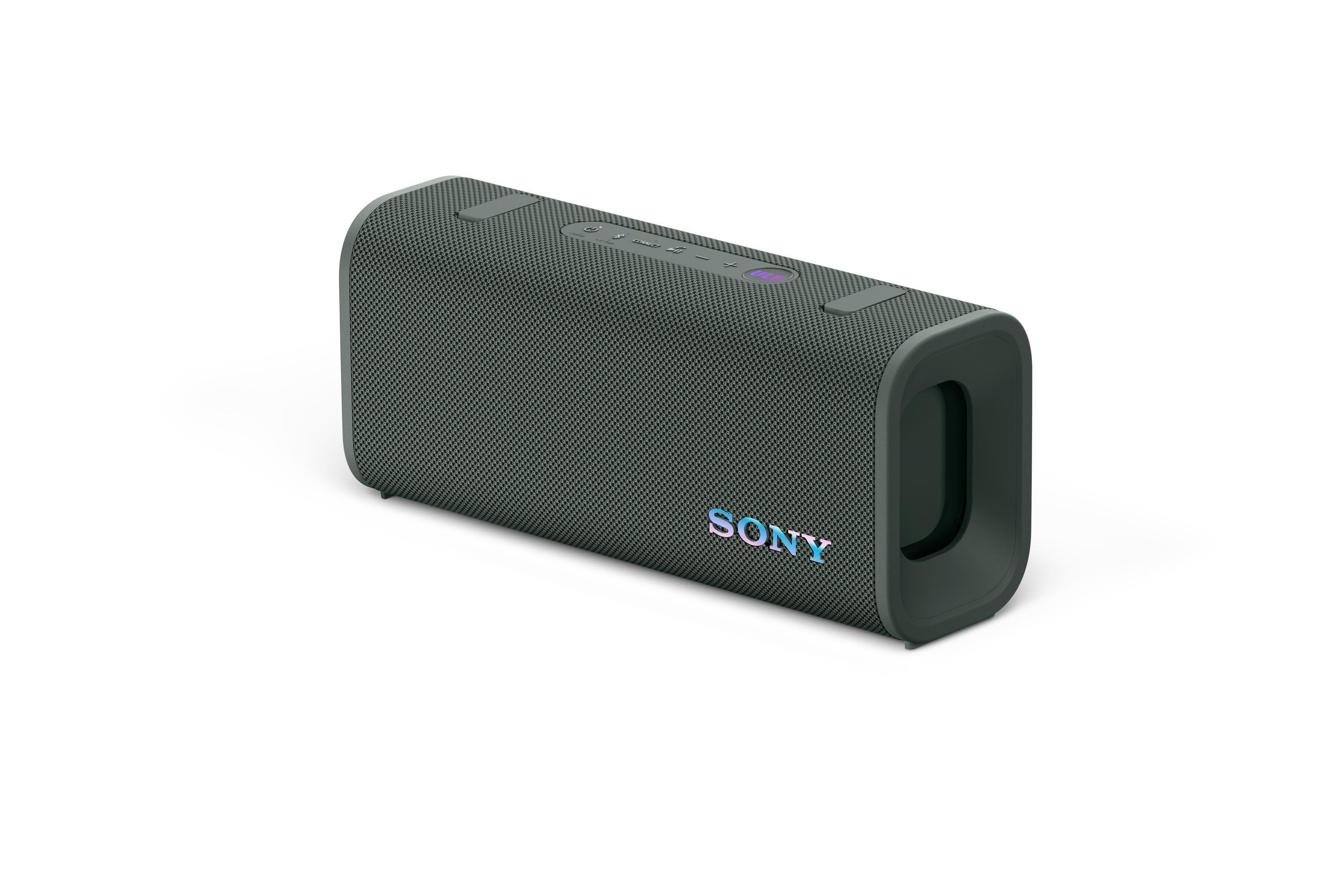 ULT FIELD 3 waldgrau Bluetooth-Lautsprecher