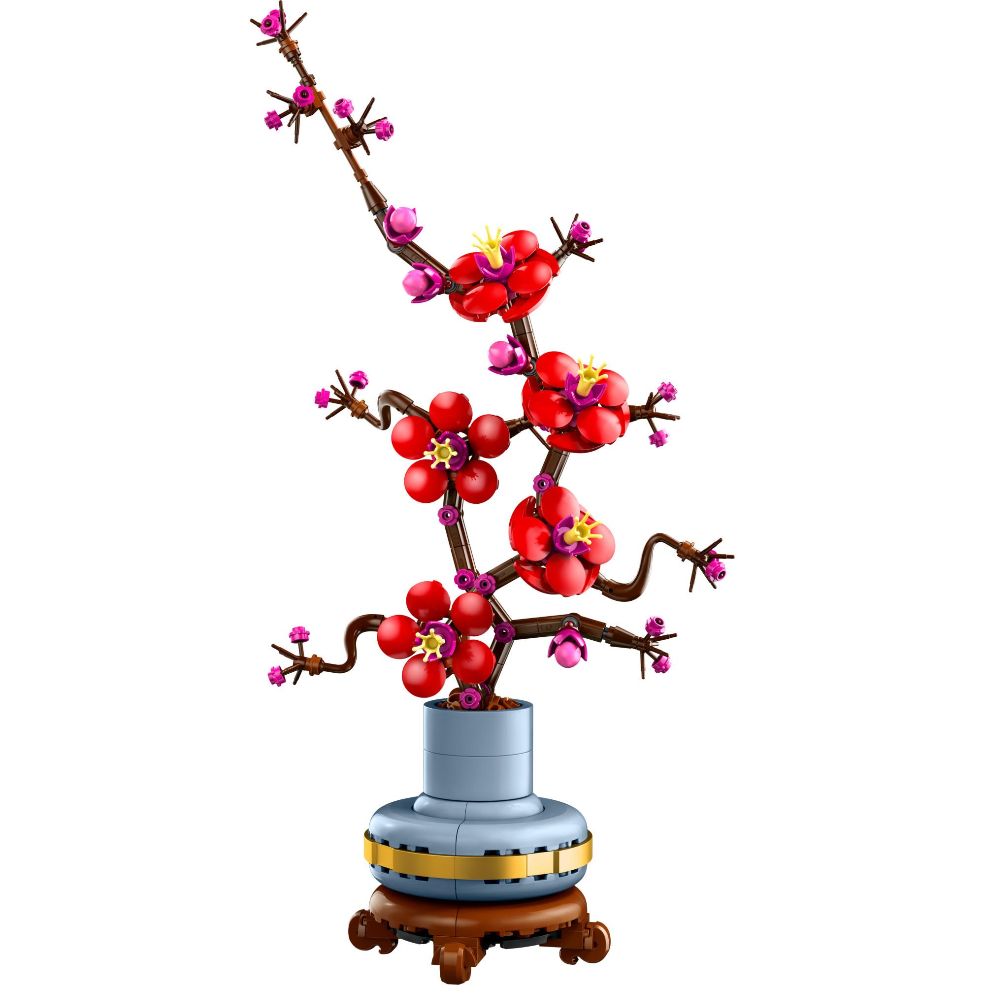 Pflaumenblüte