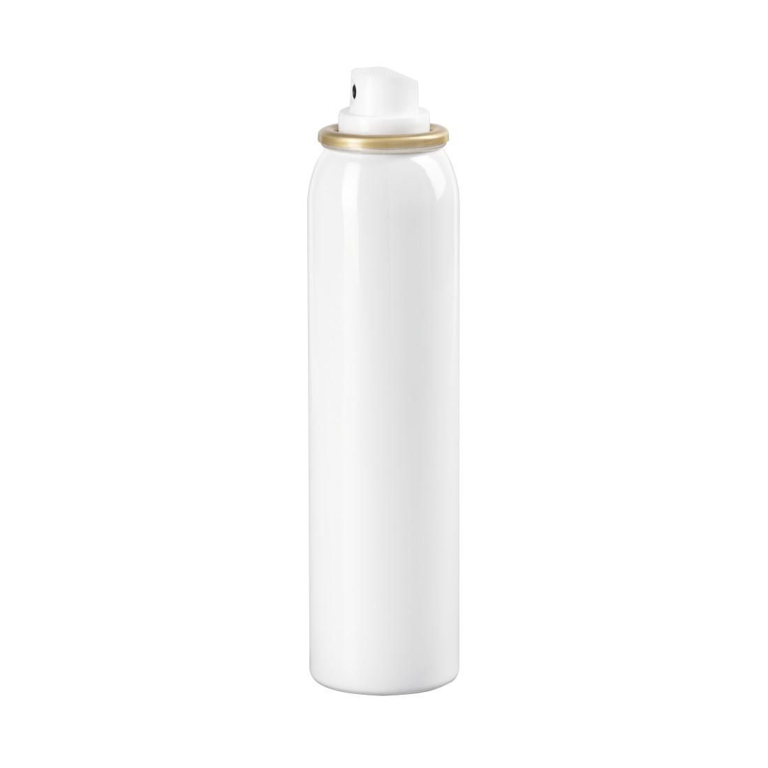 Desinfektionsmittel für Smartphone, 100 ml (00113823)