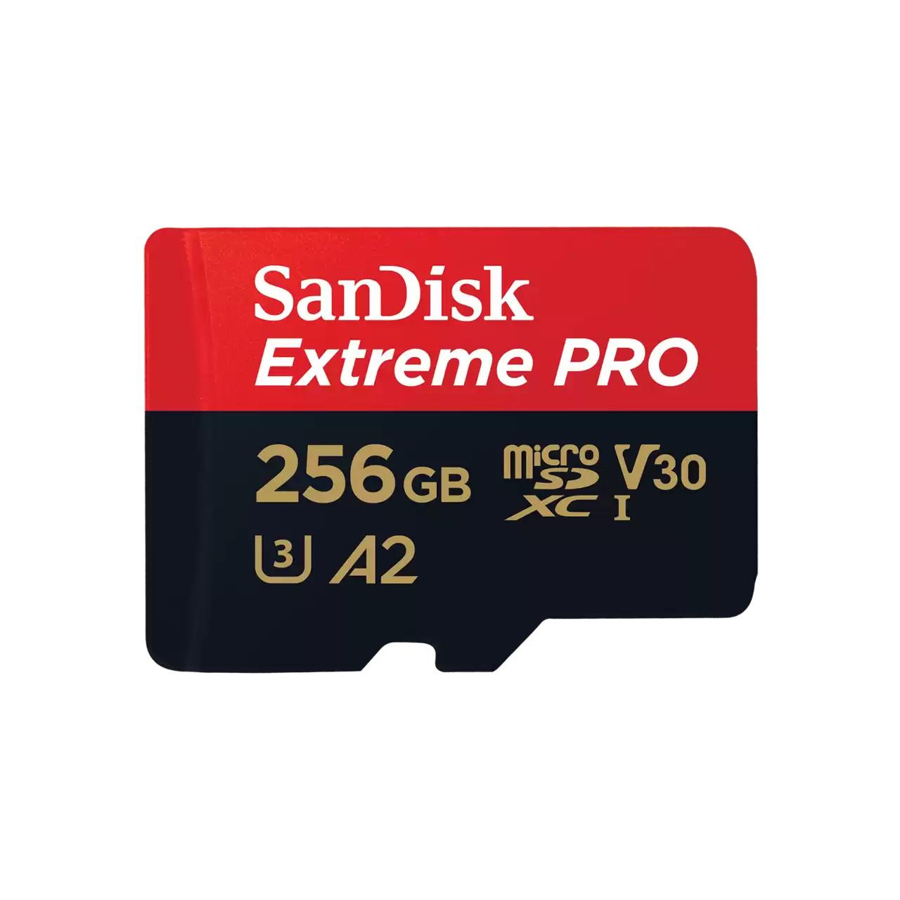 Extreme PRO 256GB (R200MB/s) (214505) micro SDXC Speicherkarte
