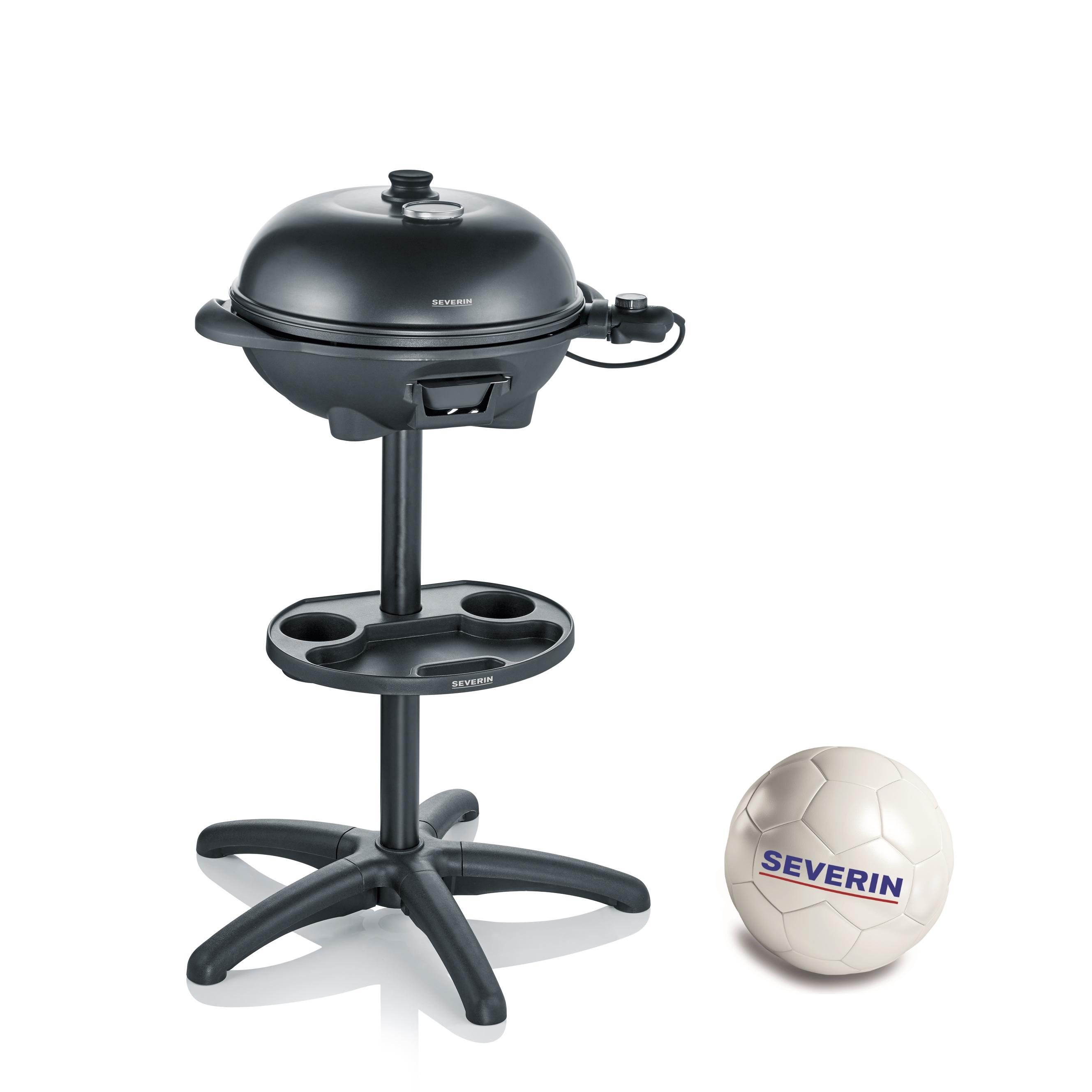PG 8541-202 Standgrill