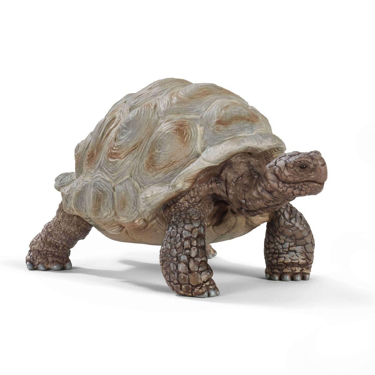Riesenschildkroete Spielfigur