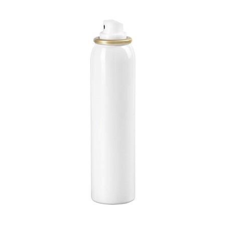 Desinfektionsmittel für Smartphone, 100 ml (00113823)