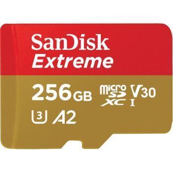 Extreme 256GB Mobile Gaming (186493) micro SDHC Speicherkarte