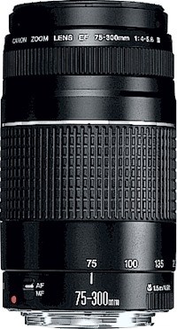 Canon Ef 75 300mm F 4 5 6 Iii Usm Zoomobjektiv Bei Expert Kaufen Canon Ef 75 300mm F 4 5 6 Iii Usm Zoomobjektiv Bei Expert Kaufen
