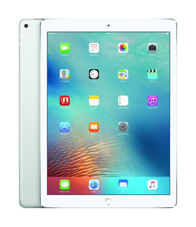 iPad Pro 256GB + Cellular silber