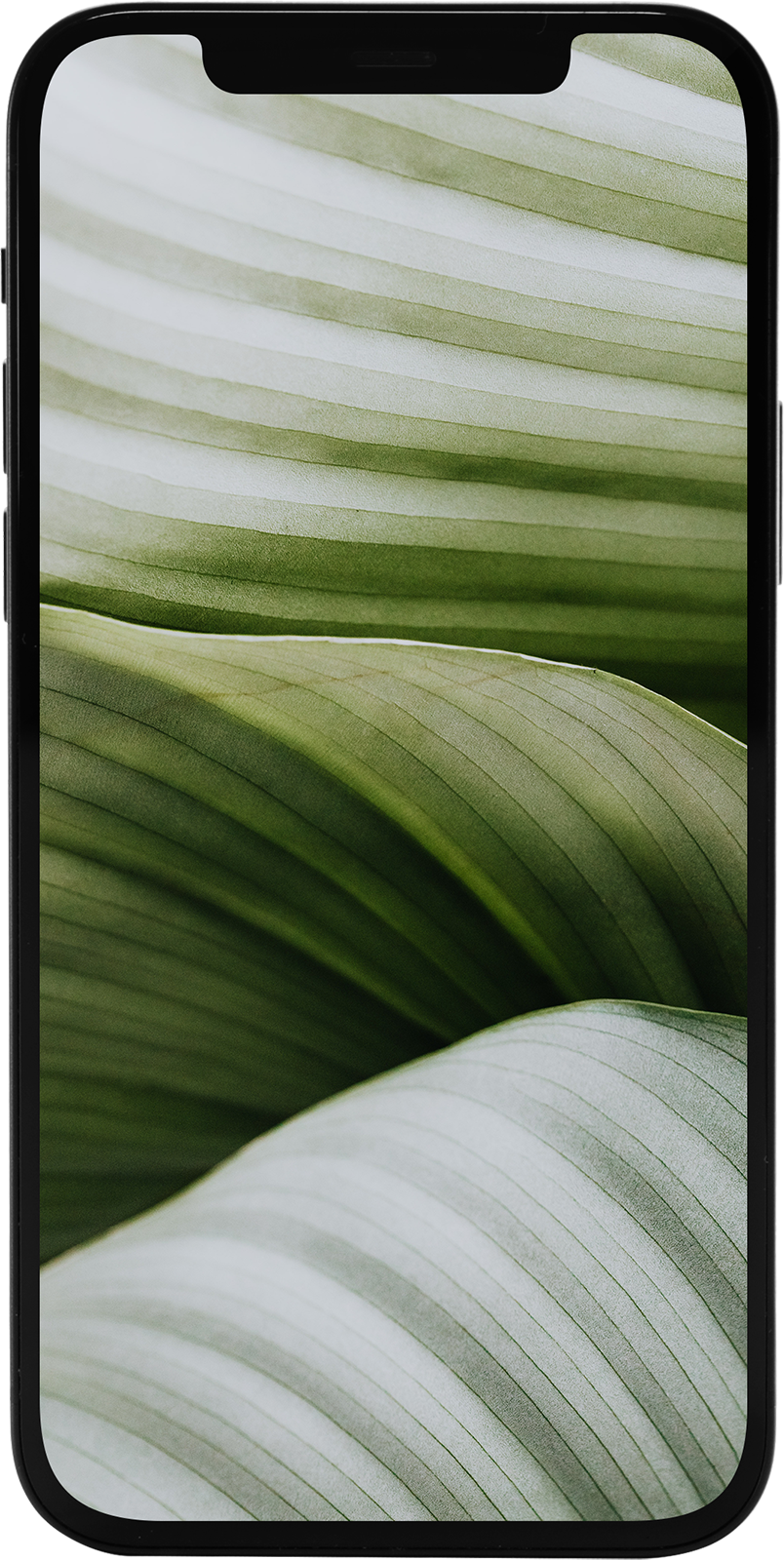 iPhone 12 mini 64GB schwarz Premium Refurbished