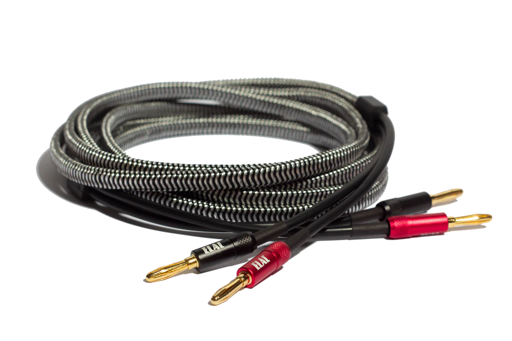 Sensible Lautsprecher Kabel 3 m SPW-10ft