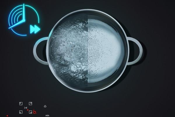 EX61AHYC1E Induktionskochfeld (autark)