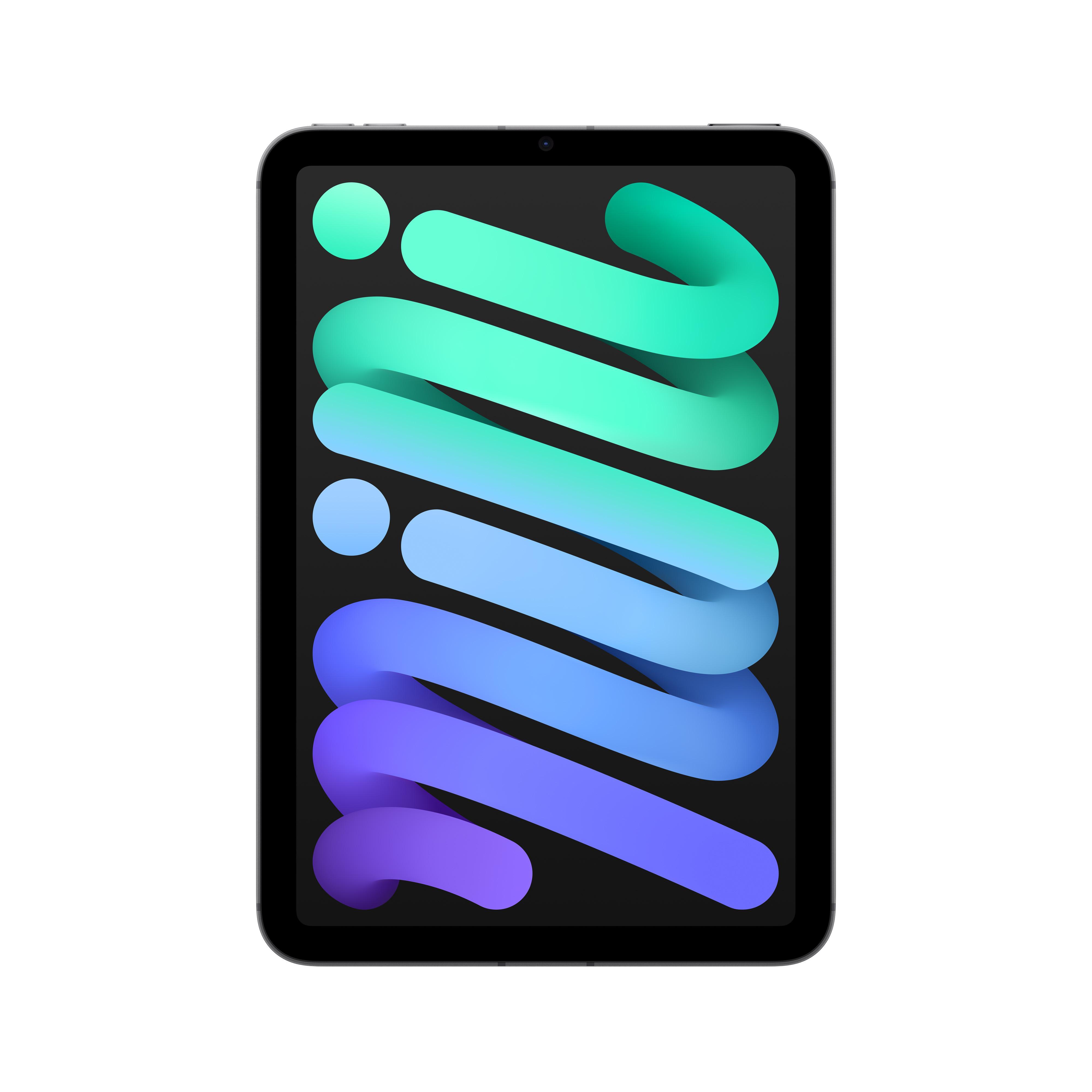 iPad mini Wi-Fi + Cellular 128GB - Space Grau