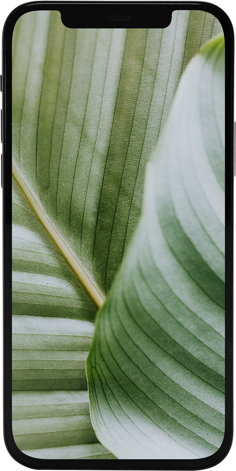 iPhone 12 64GB Schwarz Refurbished