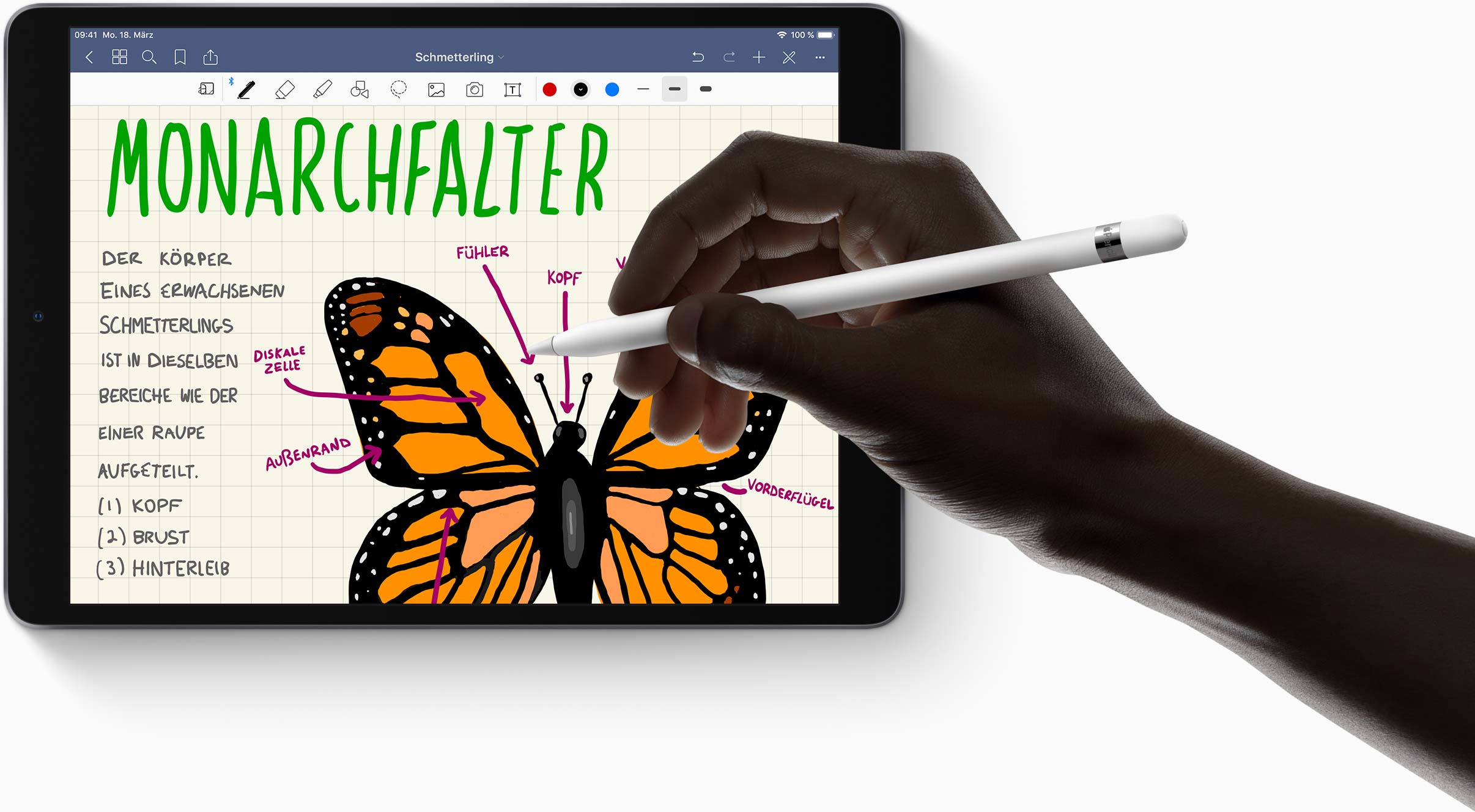iPad Air - Apple Pencil iPad Air - Apple Pencil