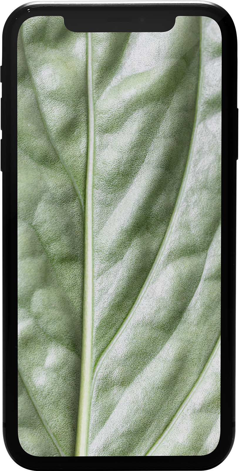 iPhone 11 64GB Schwarz Premium Refurbished