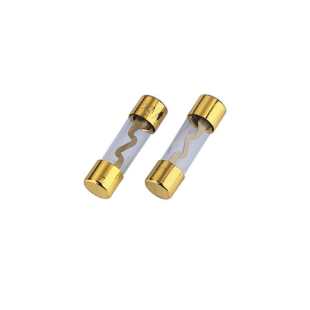Glassicherungen 40A, 2 St. (00042617)