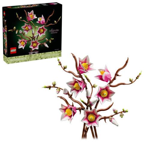 Magnolienzweige