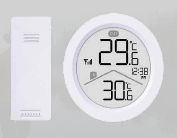 WS 9168 Temperaturstation