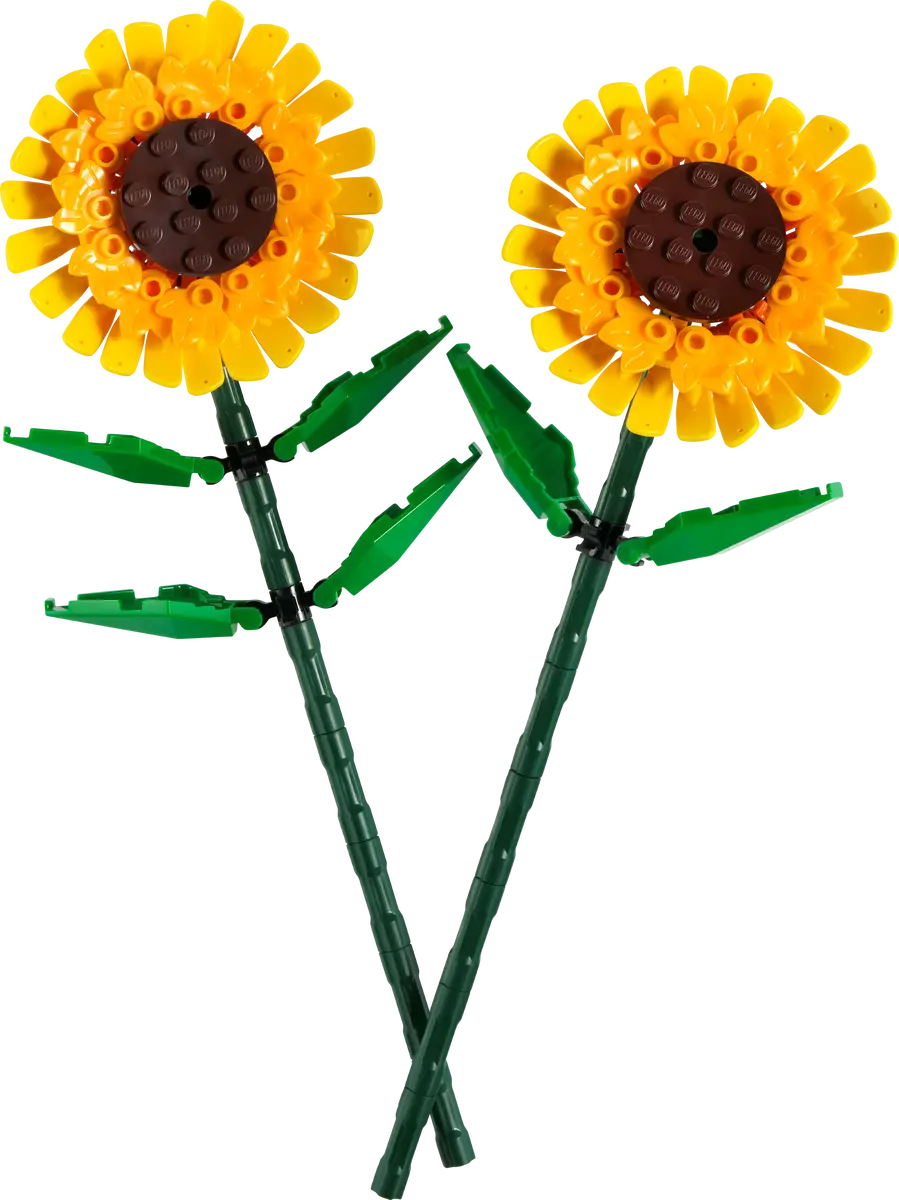 Sonnenblumen