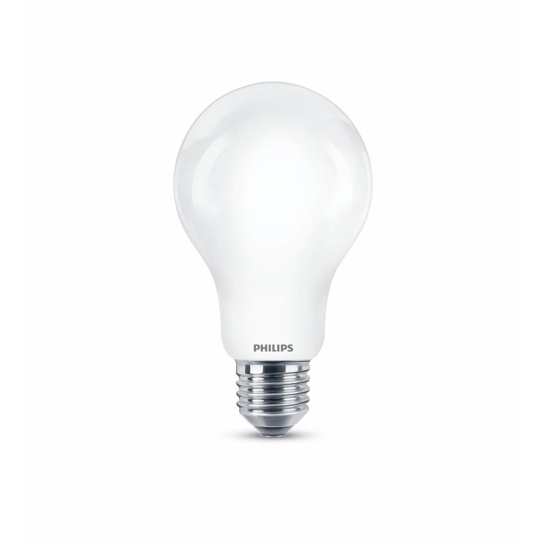 LED-Lampe, 150W, E27, matt, warmweiß (00004760) LED-Lampe