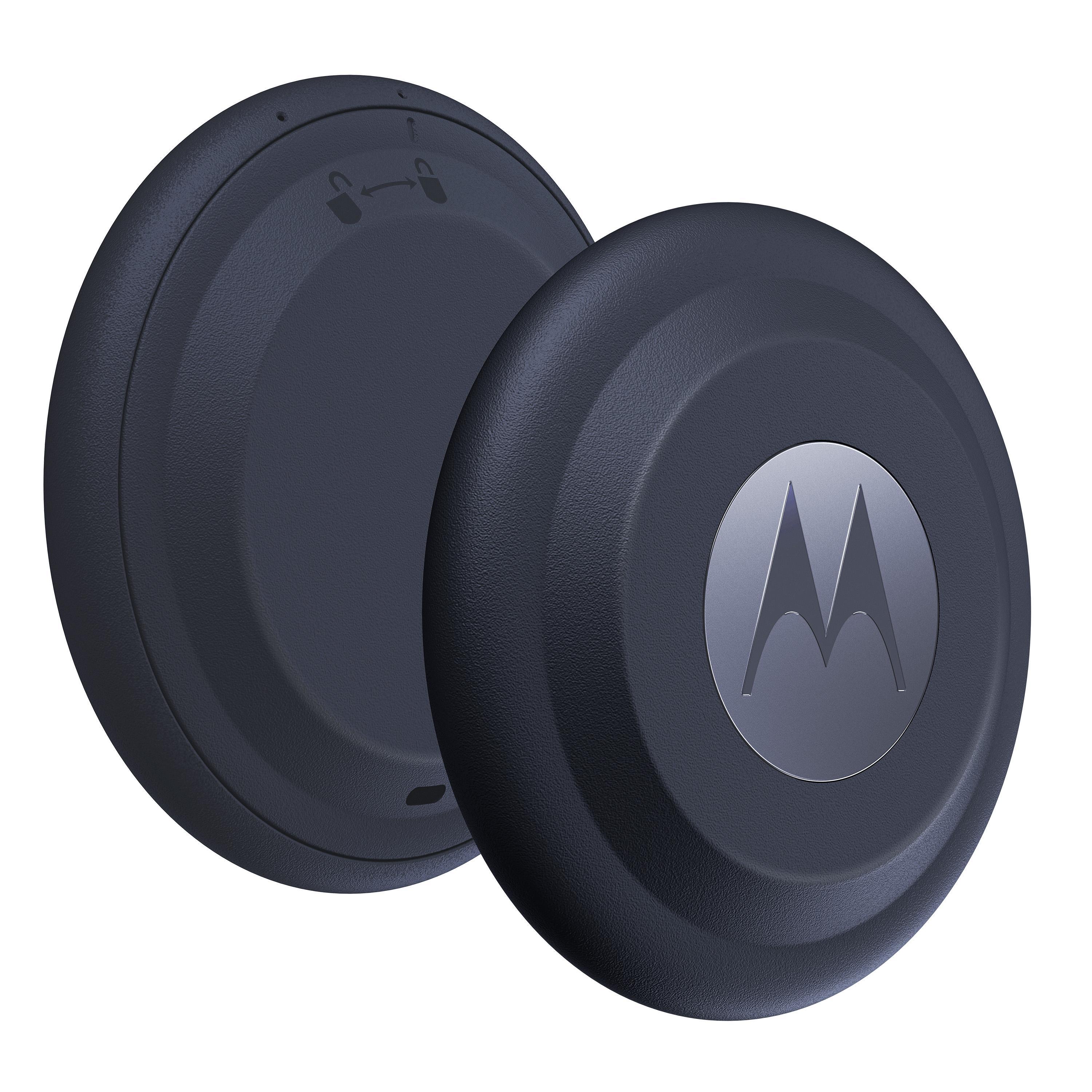 moto Tag Blueberry 1er Pack