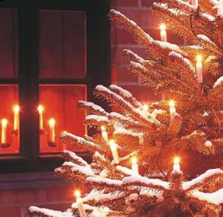Stimmungsbeleuchtung EGB Außenlichterkette 30 flg.m