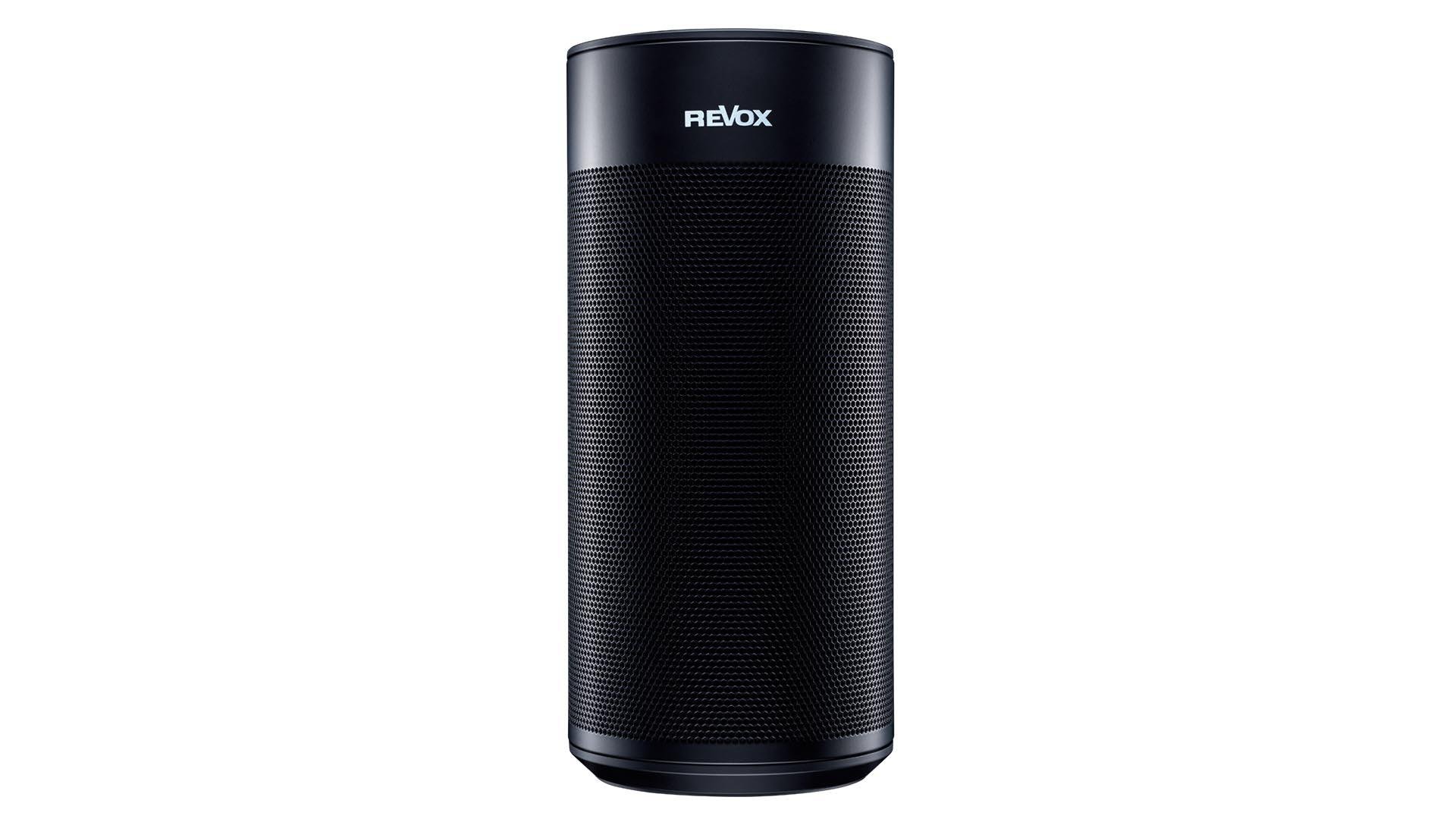 STUDIOART P100 Room Speaker passiver Zusatz-Lautsprecher schwarz