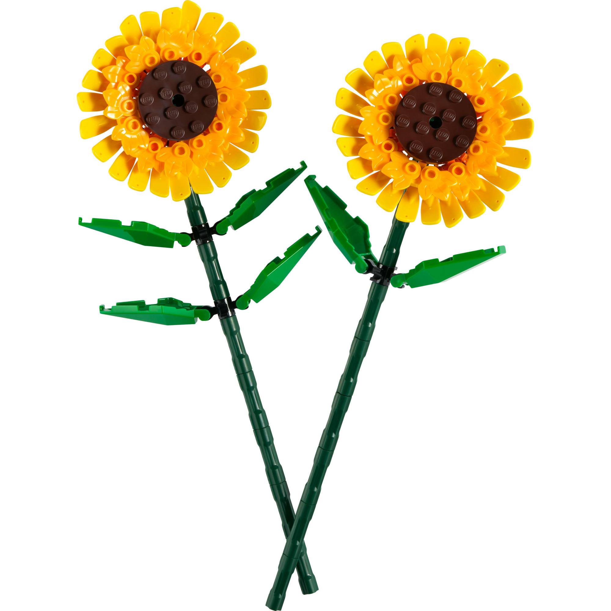 Botanicals Sonnenblumen