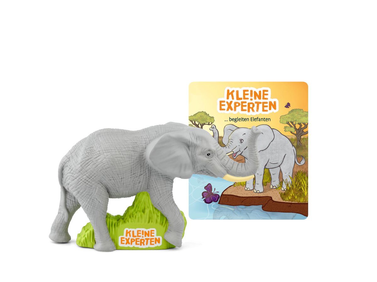 KLE!NE EXPERTEN - ...begleiten Elefanten