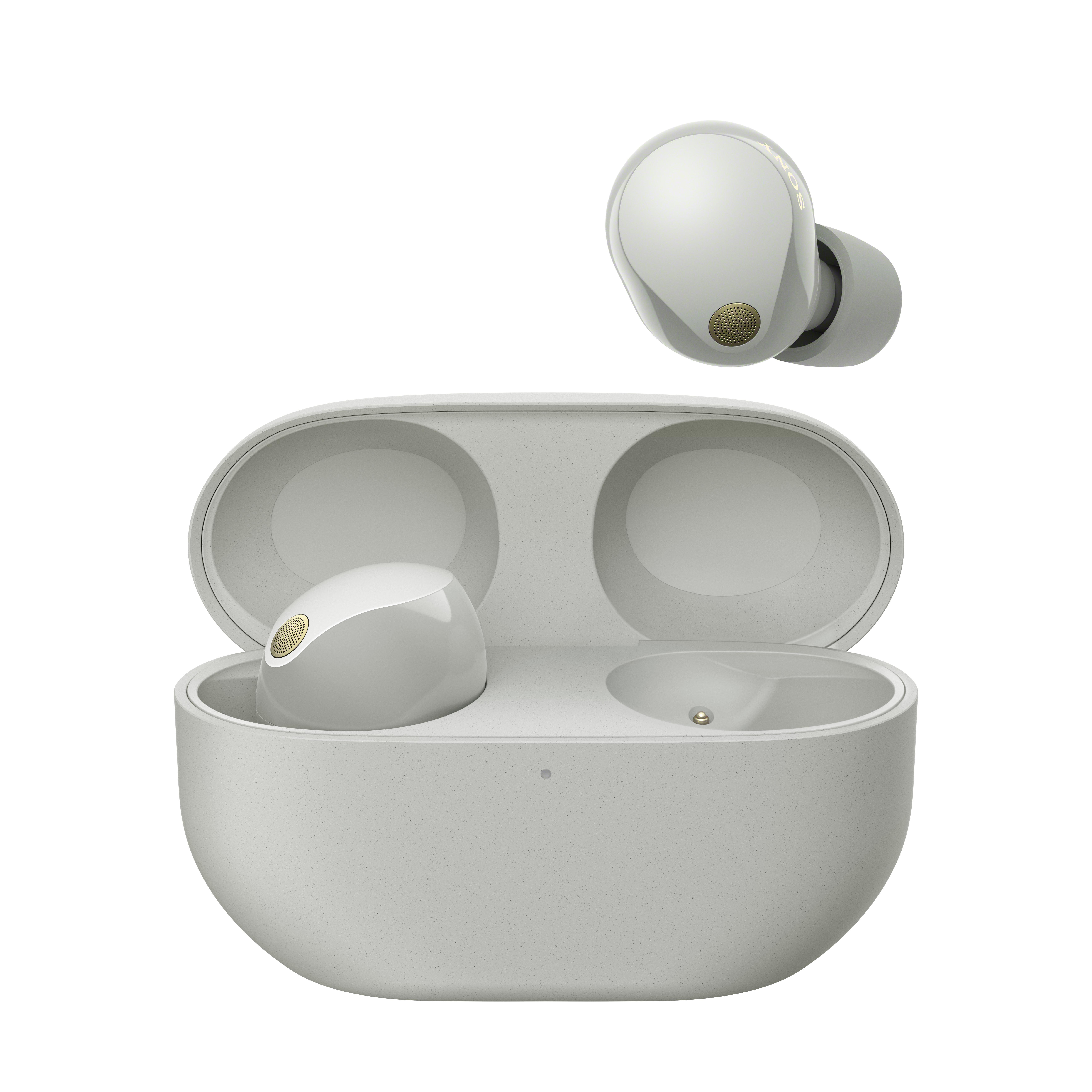 In-Ear Kopfhörer WF-1000X M5 silber
