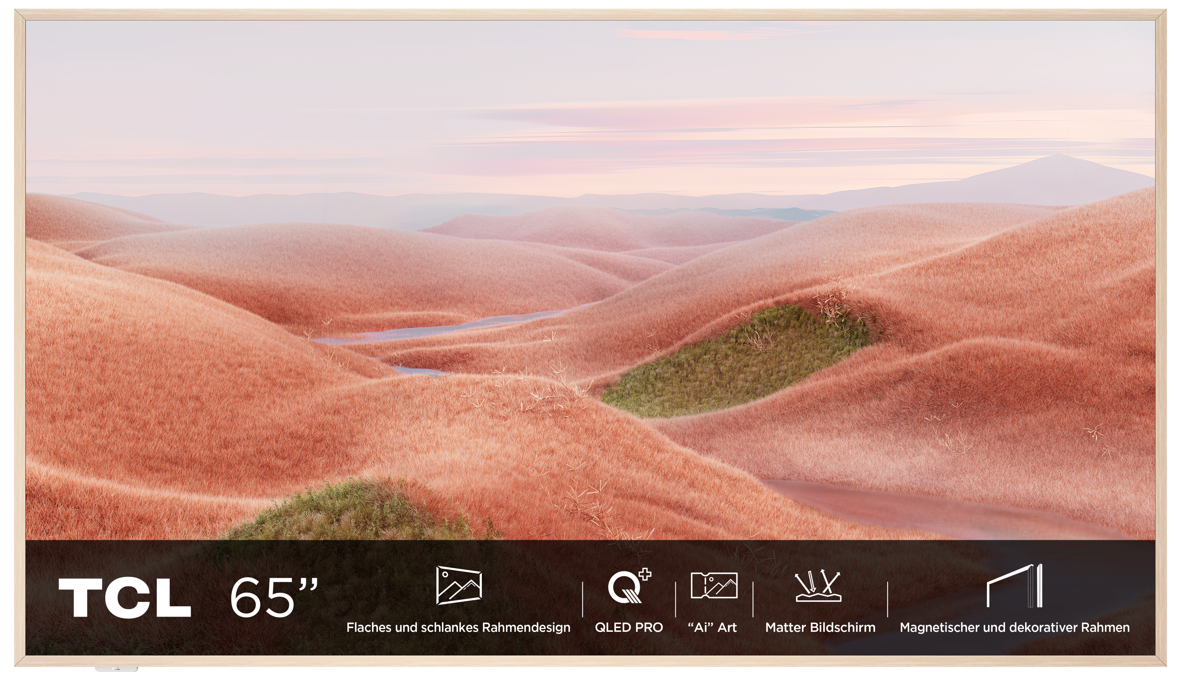 65A300W QLED TV