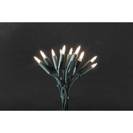 LED Minilichterkette, grün, 10 warmweiße Dioden