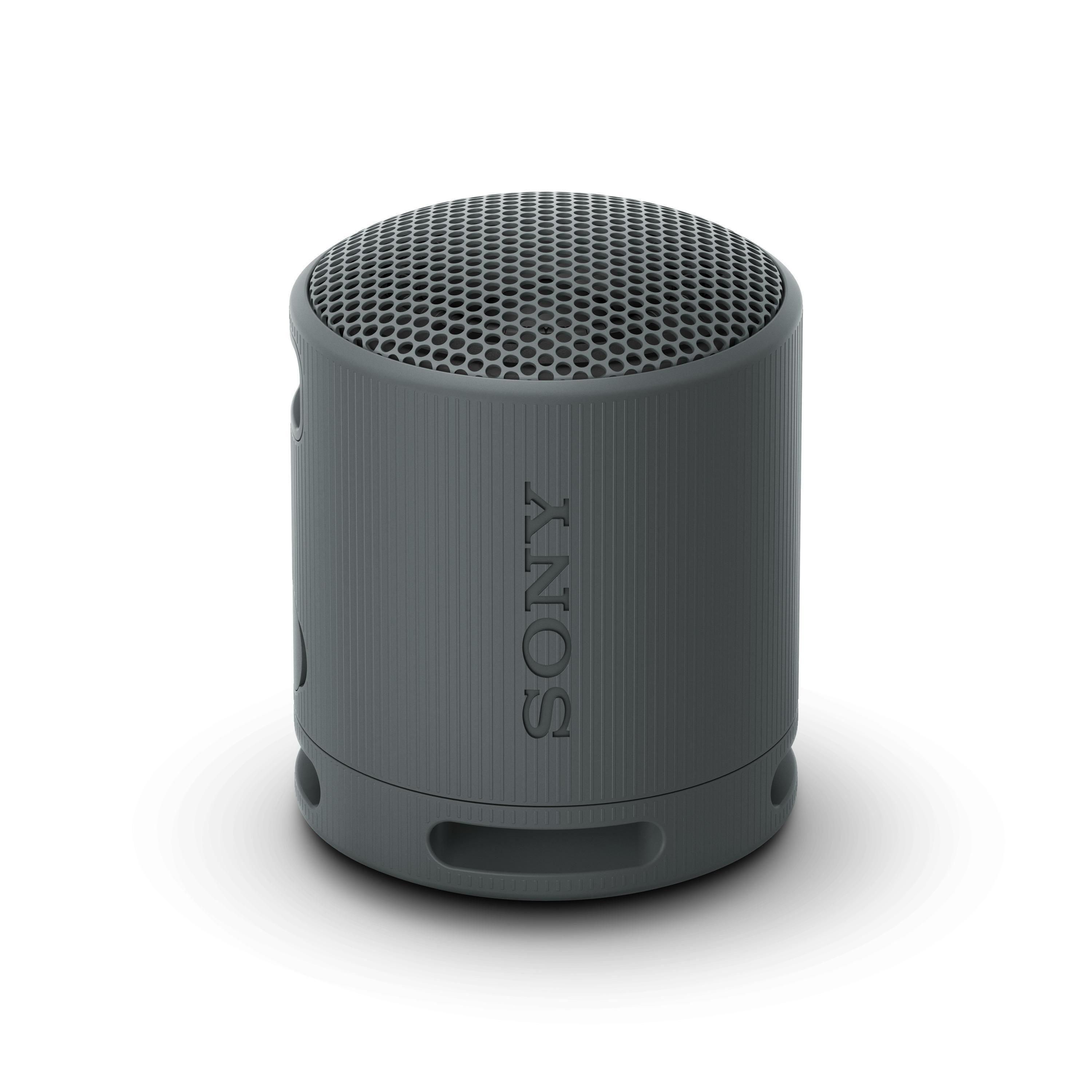 SRS-XB 100 schwarz Bluetooth-Lautsprecher