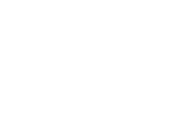 ICON_euro