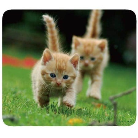 Mauspad mit Tier Motiv