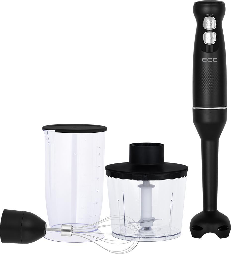 RM 100 Max Black Stabmixer-Set