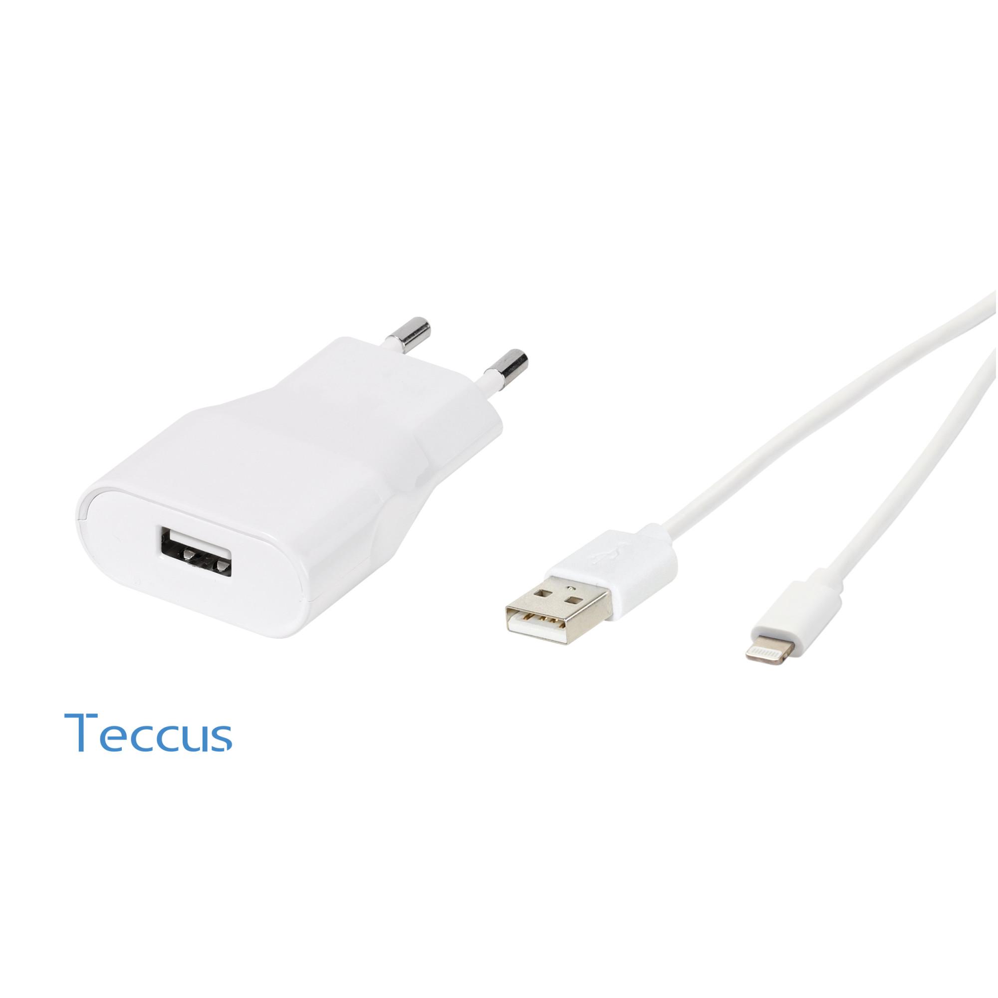 Teccus Fast Charger Set, Ladegerät inkl. Lightning Kabel für Apple, 12W (62675)