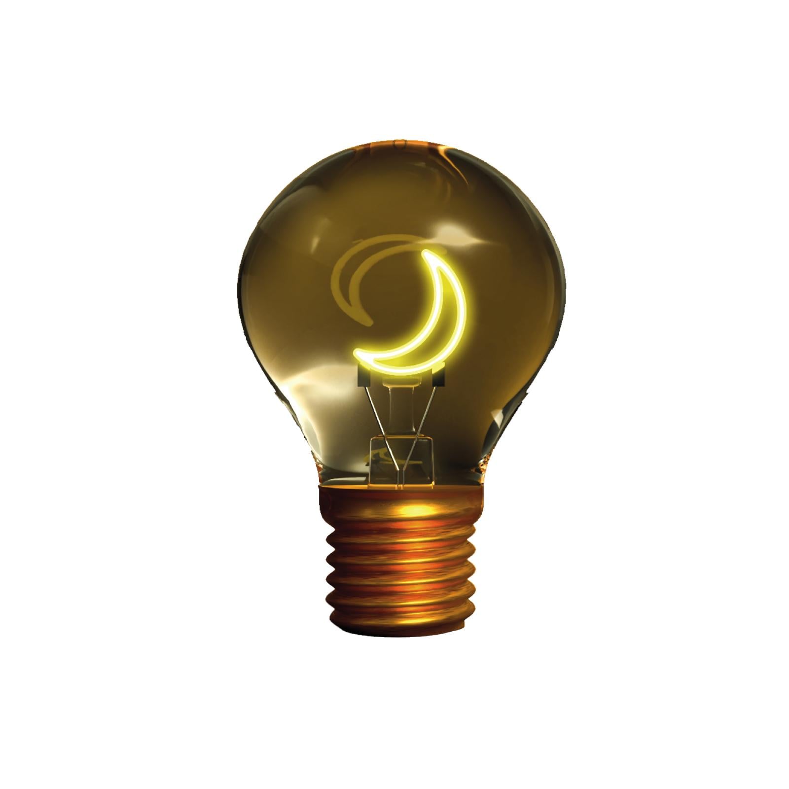 Wiederaufladbare dekorative Tischlampe „Moon""