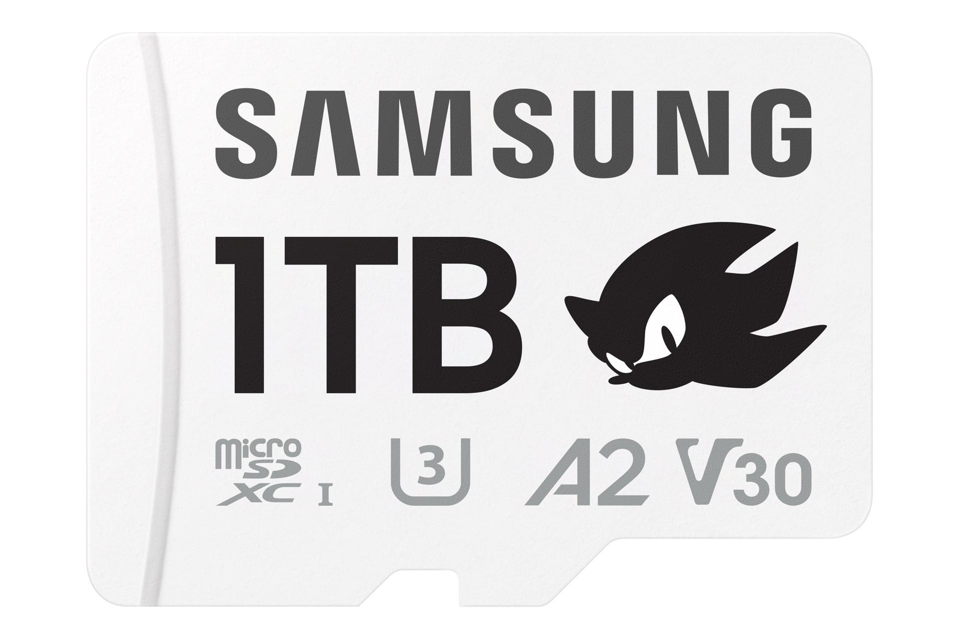 Sonic the Hedgehog™ microSDXC™ UHS-I Speicherkarte 1 TB