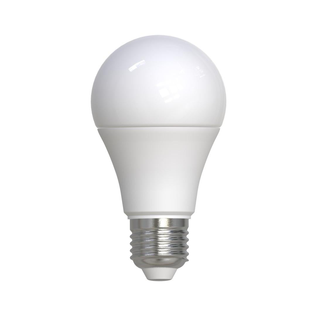 LED-Lampe, E27, 1521lm ersetzt 100W, Birne A60, matt, Warmweiß, dimmbar (00232562)