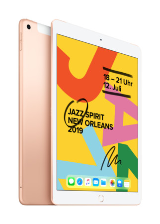 iPad 10.2 Cellular 128 GB gold (MW6G2FD/A)