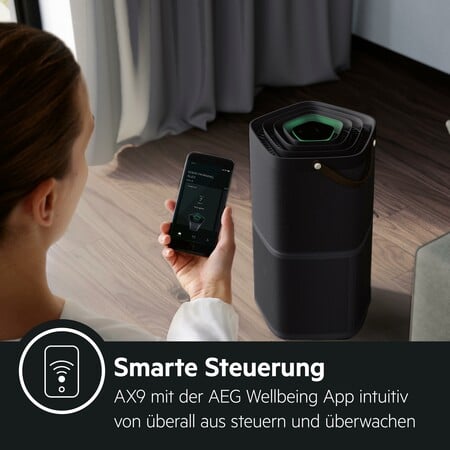 Luftreiniger AX91-404DG + Care Filter AFDCAR4 BUNDLE