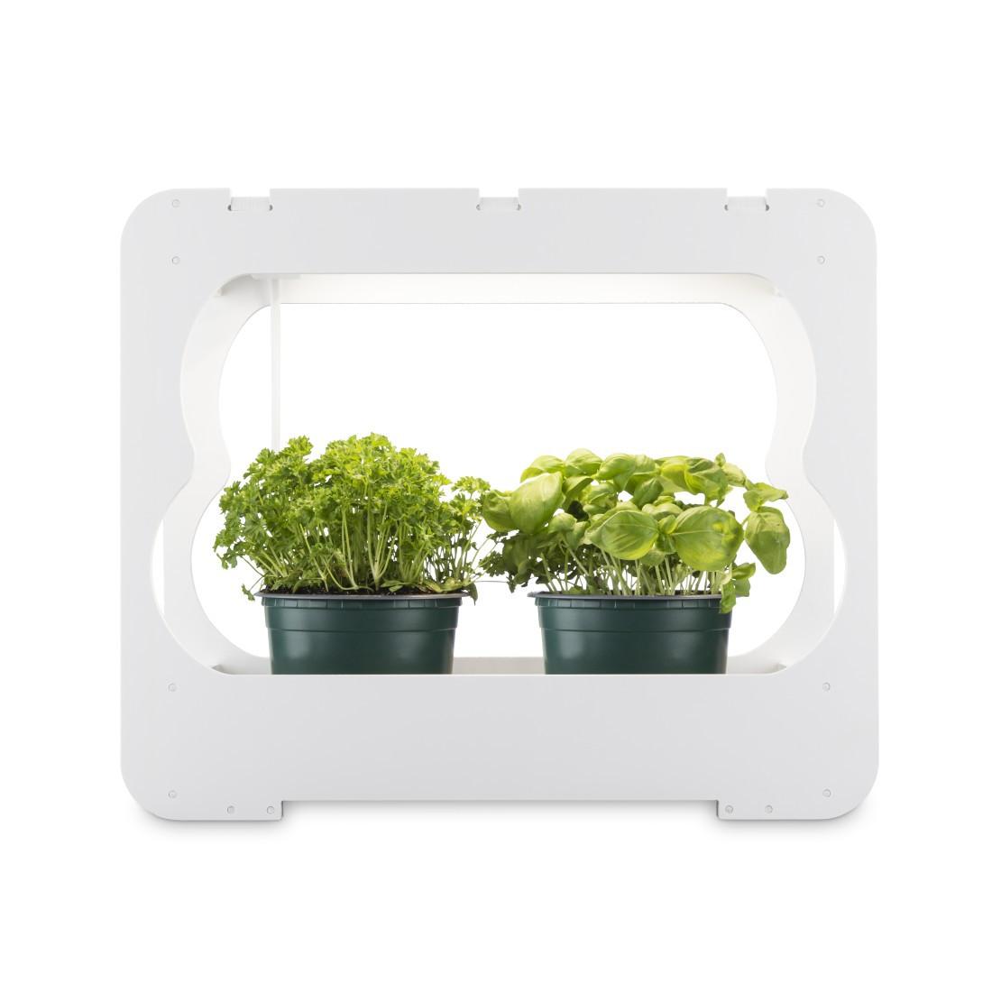 Gewächsstation mit LED-Pflanzenlampe, ca. 3 Töpfe Ø 10 cm, Vollspektrum-LED (00112926)