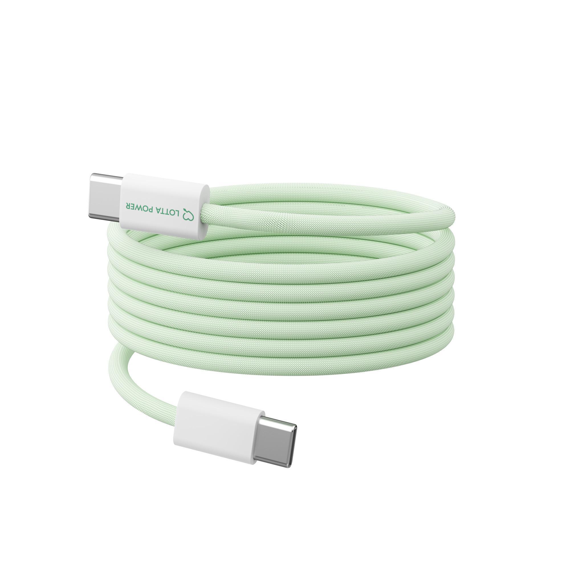 Magnetisches Ladekabel USB Typ C auf USB Typ C 100W 1.5 m Mint